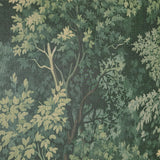WM10116101 Lush woodland forest trees branches sage Green faux fabric textured Wallpaper 3D