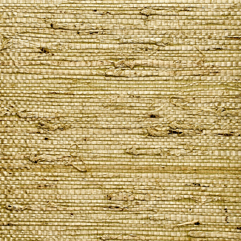 WM173701 Extra Fine Arrowroot Wallpaper Springtime Wallcoverings