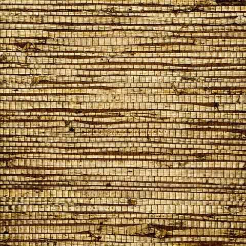 WM174101 Extra Fine Arrowroot Wallpaper Olive Wallcoverings