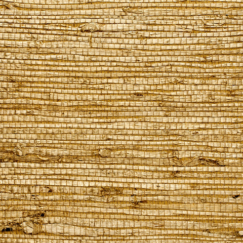 WM174301 Extra Fine Arrowroot Wallpaper Spanish Moss Wallcoverings