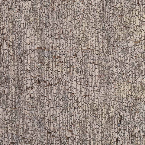 WM259201 Scorched Wallpaper Birch Rind Wallcoverings