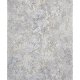 WM29860001 Faux Industrial raffia textured Concrete distressed paint rusted gray wallpaper
