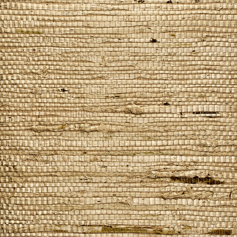 WM383801 Extra Fine Arrowroot Wallpaper Garden Stone Wallcoverings