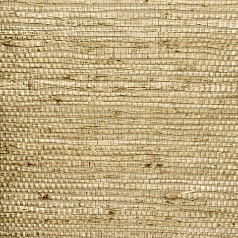 WM384201 Extra Fine Arrowroot Wallpaper Serene Green Wallcoverings