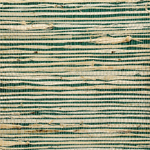 WM384301 Extra Fine Arrowroot Wallpaper Soft Malachite Wallcoverings