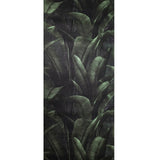 WM41623701 Tropical wallcoverings botanic plant banana leaves black green modern wallpaper