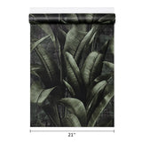 WM41623701 Tropical wallcoverings botanic plant banana leaves black green modern wallpaper