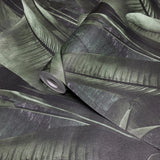 WM41623701 Tropical wallcoverings botanic plant banana leaves black green modern wallpaper