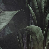 WM41623701 Tropical wallcoverings botanic plant banana leaves black green modern wallpaper