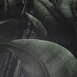 WM41623701 Tropical wallcoverings botanic plant banana leaves black green modern wallpaper