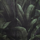 WM41623701 Tropical wallcoverings botanic plant banana leaves black green modern wallpaper