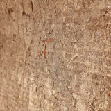 WM501KCC Real Natural cork warm rose gold copper metallic textured modern eco Wallpaper
