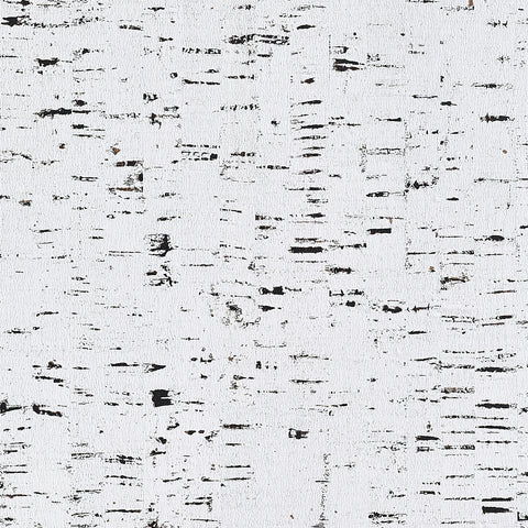 WM70901 Enchanted Woods Wallpaper Bestowed Birch Wallcoverings