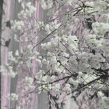 WM90840101 Cherry blossom forest flowering branches gray pink purple tree trunks Wallpaper
