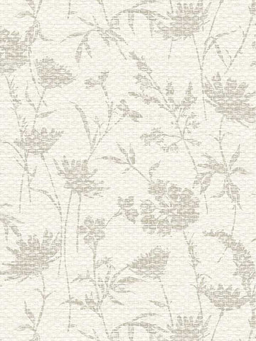 WMGL2130501 Grasslands florals tropical taupe abstract Wallpaper