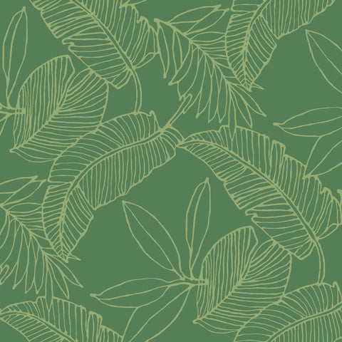 WMSY2021401 Tropical Breeze Wallpaper