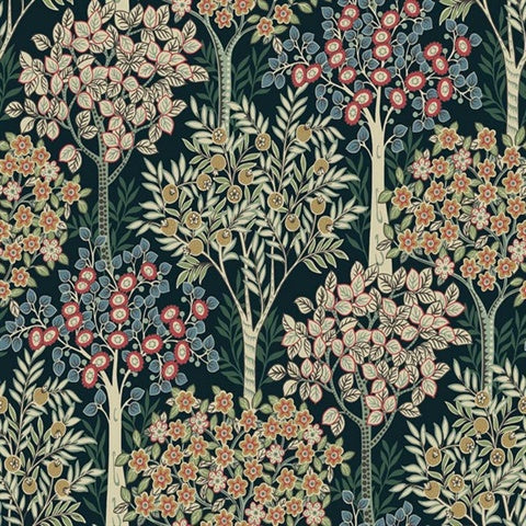 WMTJ4030401 Grove Olive tree Tree Wallpaper