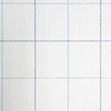 WMYM3092201  Blue off white classic windowpane plaid thread string lines textured wallpaper