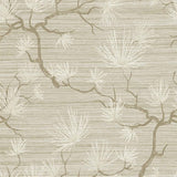 WS70105 Kiruna Saddle Tan Tree Branch Wallpaper