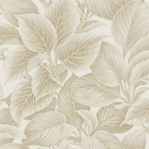 WS70305 Wasilla Oat Milk Large Leaf Wallpaper