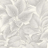 WS70308 Wasilla Soft Grey Large Leaf Wallpaper