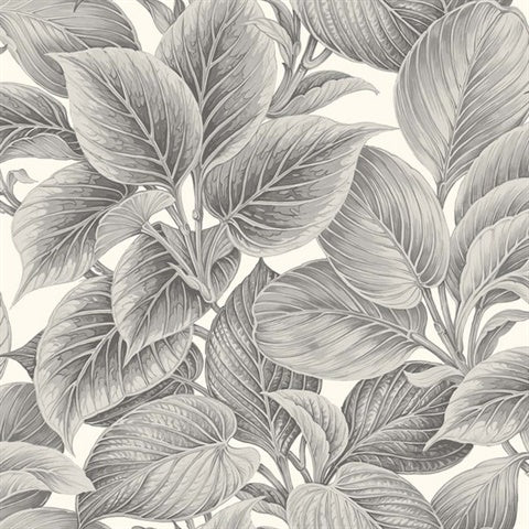 WS70318 Wasilla Alaskan Grey Large Leaf Wallpaper