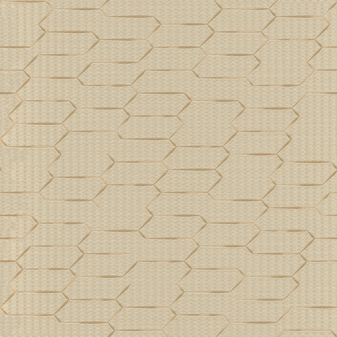 Z12836 Lamborghini Plain Wallpaper