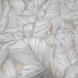Z30301 Tropical banana palm Leaves ivory off white Cream botanical textured wallpaper