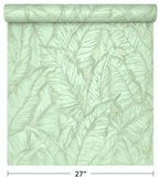Z30309 Tropical banana palm Leaves mint green botanical textured leaf modern wallpaper