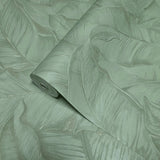 Z30309 Tropical banana palm Leaves mint green botanical textured leaf modern wallpaper