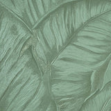 Z30309 Tropical banana palm Leaves mint green botanical textured leaf modern wallpaper
