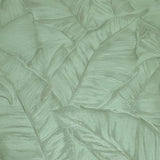 Z30309 Tropical banana palm Leaves mint green botanical textured leaf modern wallpaper