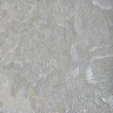Z46036 Plain Contemporary Shimmer golden gray metallic Faux plaster Textured Wallpaper
