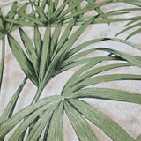 Z77543 Floral tropical modern beige cream green palm leaves textured wallpaper rolls 3D
