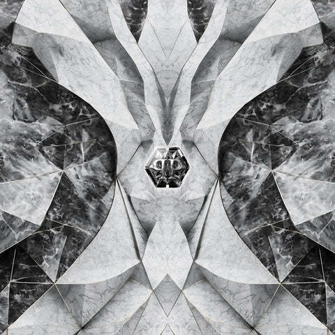 Z81067 Philipp Plein Geometric Luxury Panel 