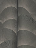 ZA8022 Morning Shell Black Grey Wallpaper