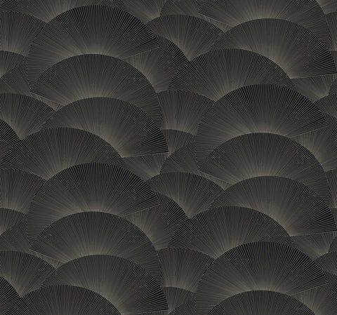 ZA8022 Morning Shell Black Grey Wallpaper