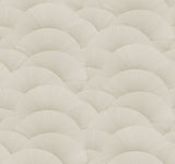 ZA8024 Morning Shell Taupe Gold Wallpaper