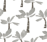 ZM2838 Painted Oasis Carbon Graphite Wallpaper