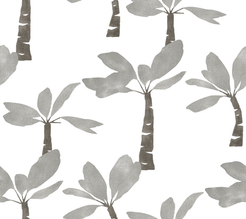 ZM2838 Painted Oasis Carbon Graphite Wallpaper