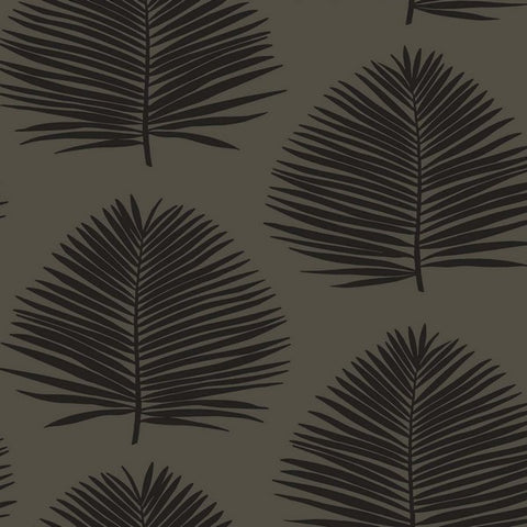 SL80710 Seabrook Palm Leaf Black Wallpaper