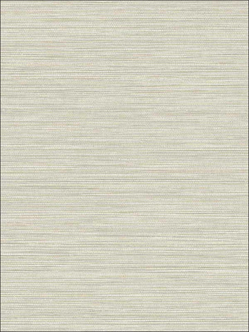 BV30107 Grasslands Gray Wallpaper