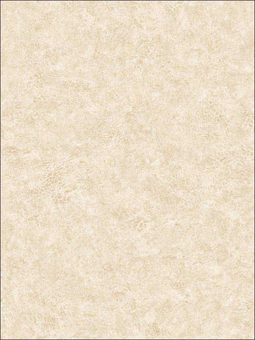 BV30625 Roma Leather Textured Wallpaper