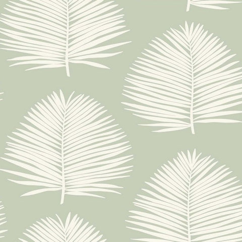 SL80704 Seabrook Palm Leaf Green Wallpaper
