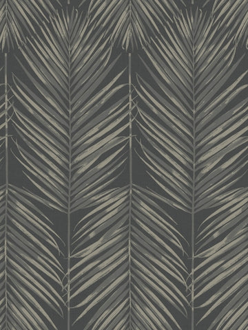 MB30000 Palm Leaves black gray wallpaper
