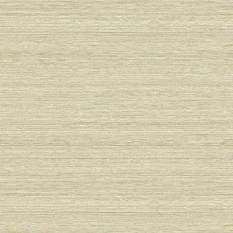 TC70313 Shantung Silk beige plain wallpaper