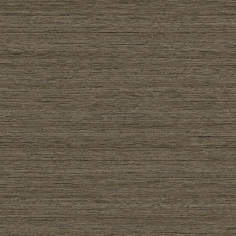 TC70326 Shantung Silk Browns Taupes plain wallpaper