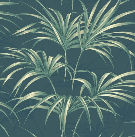 TP80604 Palm Leaf Tropical Aquas Teals wallpaper