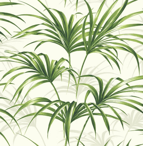 TP80610 Palm Leaf Tropical white green wallpaper