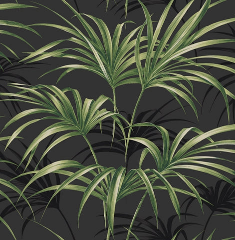 TP80600 Palm Leaf Tropical black green wallpaper